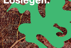 Lümmeln. Laut werden. Loslegen. Band 1 - Demokratische Lebenswelten